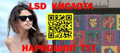 прущие грибы Заводоуковск