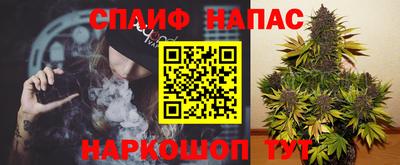 гидропоника Заволжье