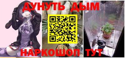 прущие грибы Заводоуковск