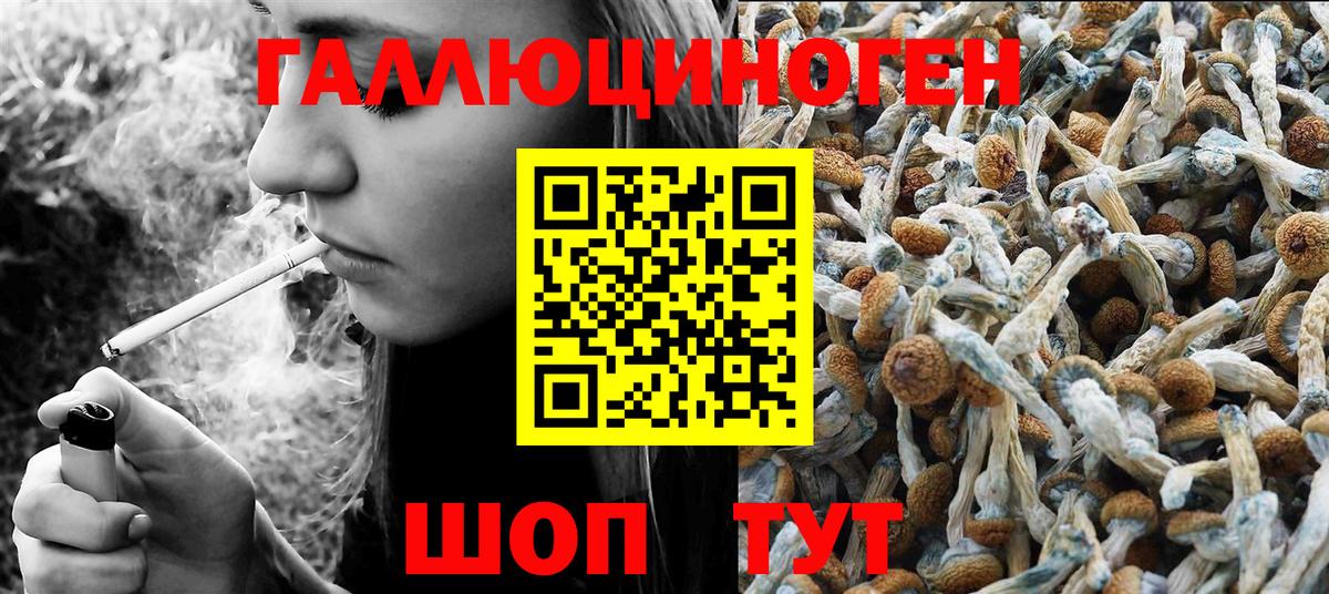 Галлюциногенные грибы ЛСД Кунгур